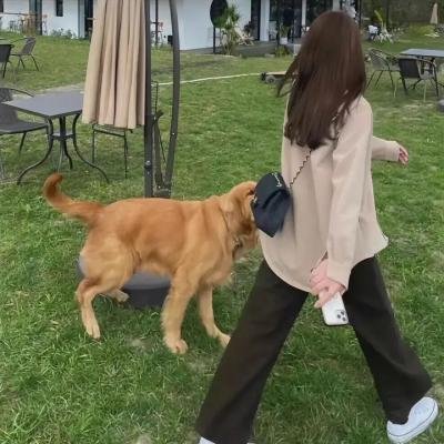魔鬼情人